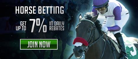 lowvig.ag|lowest vig sports betting.